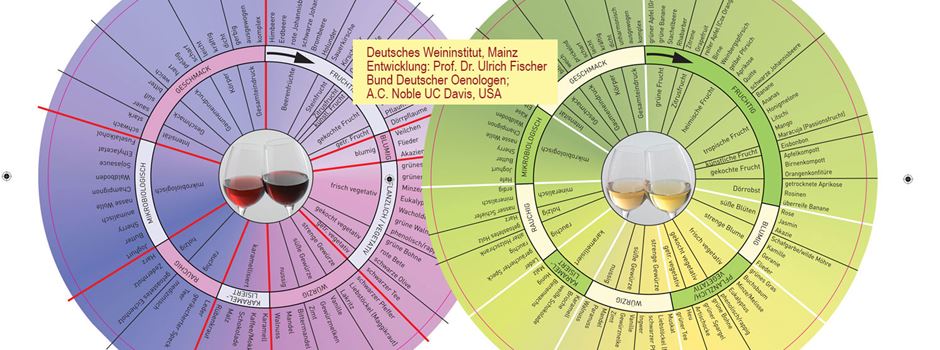 Aromenrad@ Deutsches Weininstitut Bildquelle: Deutsches Weininstitut